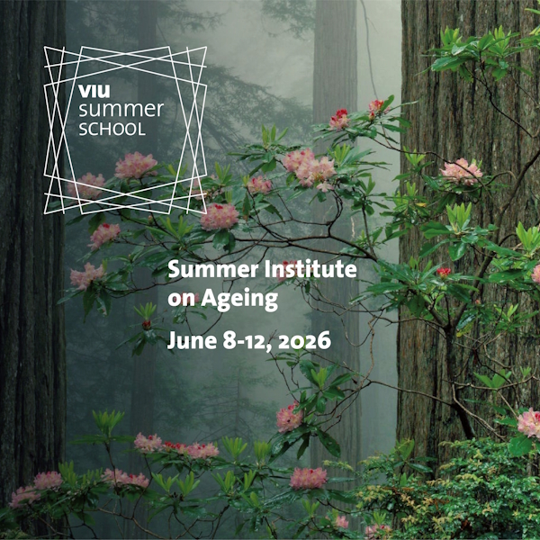 banner VIU Summer School Summer School on Ageing 2025
