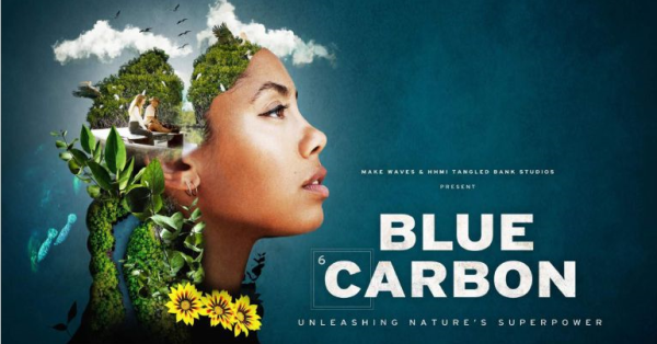 blue carbon lecture